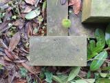 image of grave number 725482